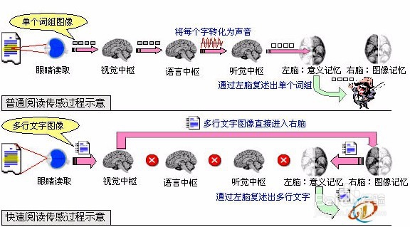 怎么能快速阅读?