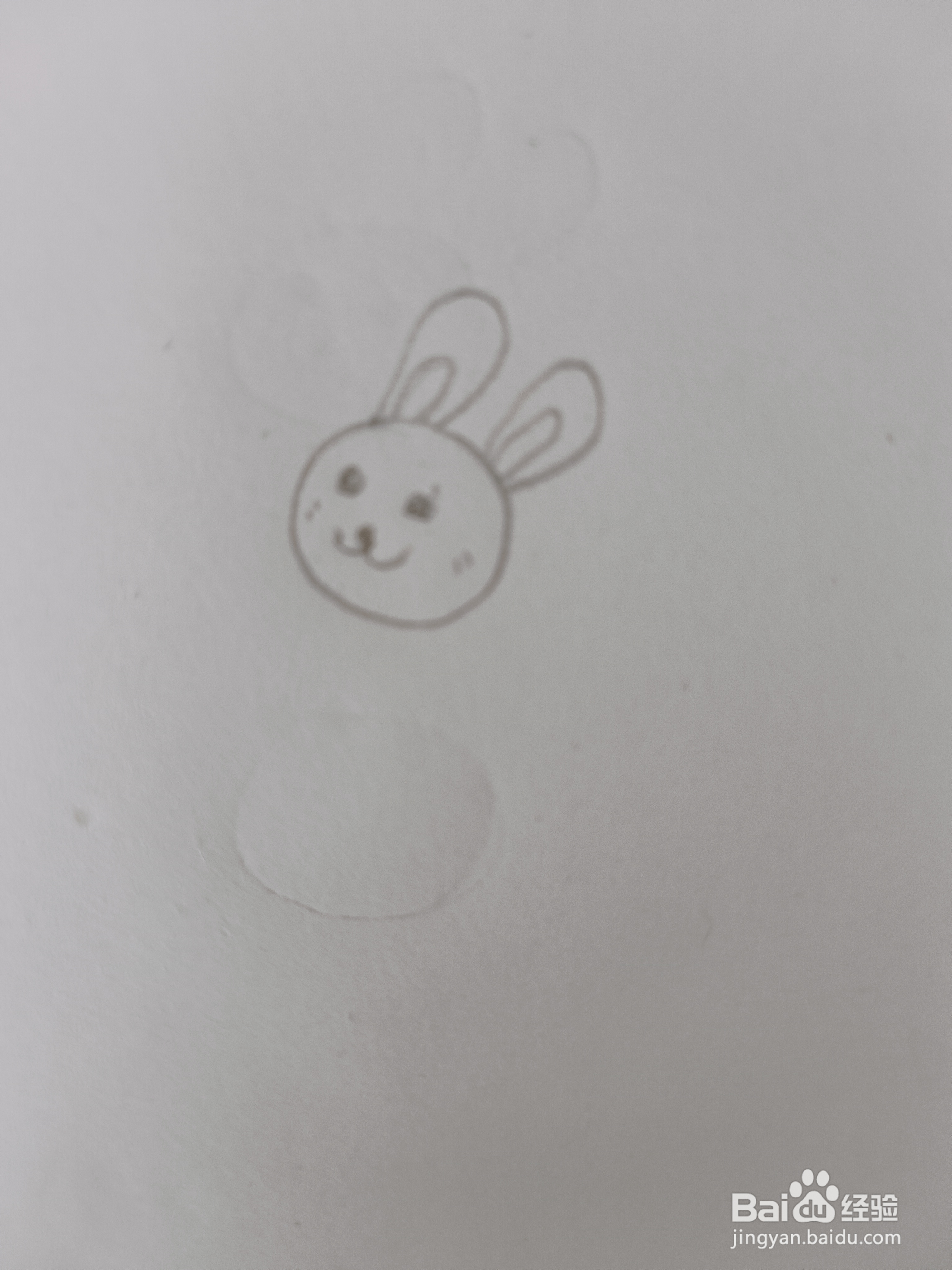 兔子的简单画法