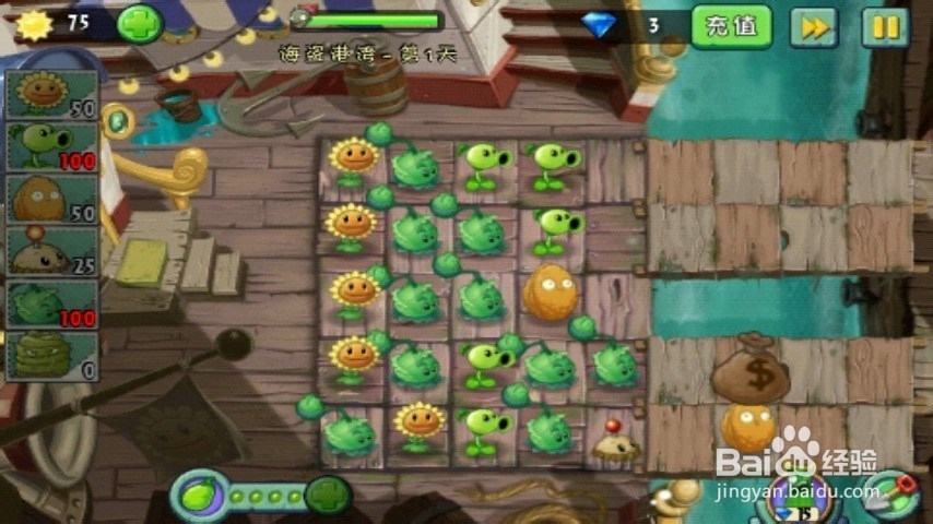 植物大战僵尸2游戏攻略之海盗湾第一天