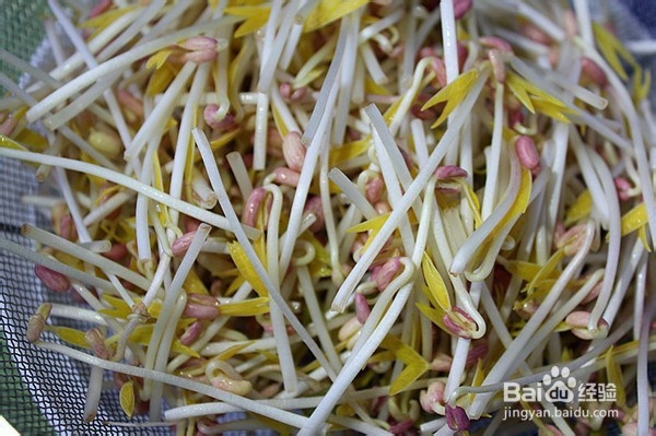 凉拌自发绿豆芽