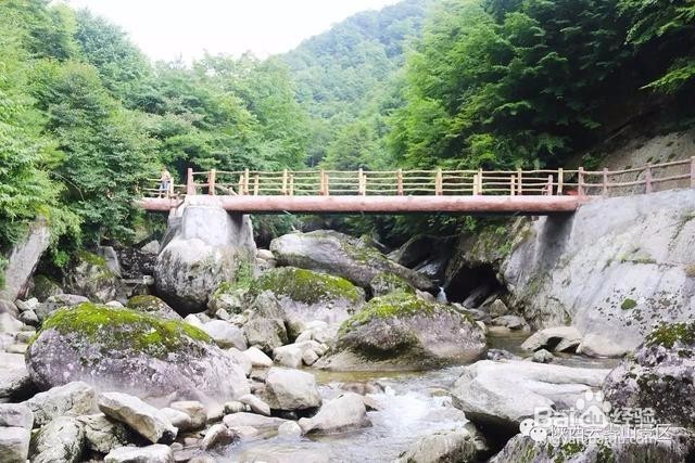 这才是云雾山游玩的正确方式