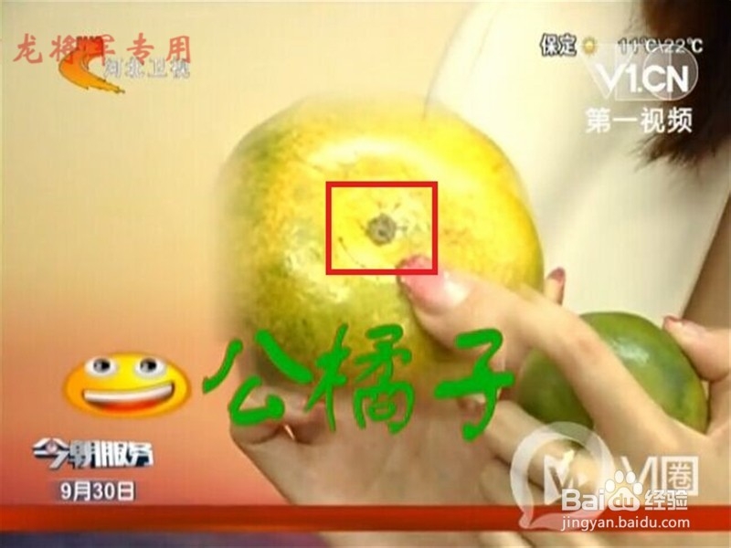 教你怎么挑选橘子