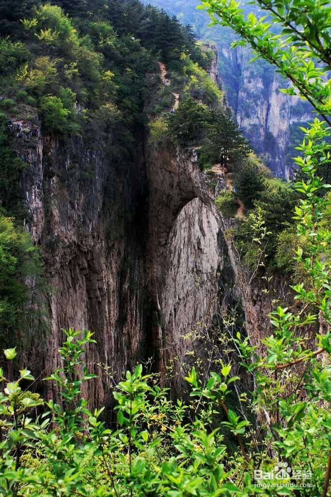 南太行驴行两日游