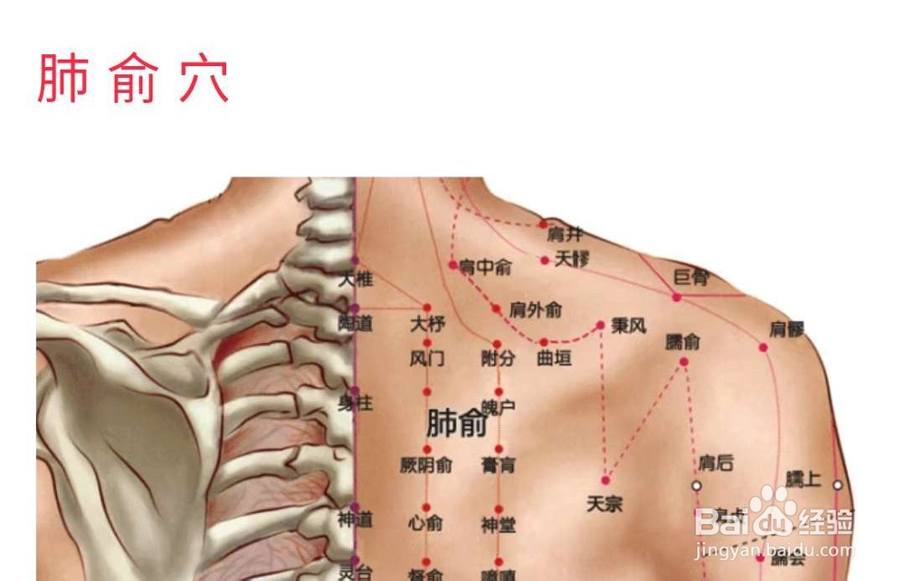 不感冒的方法