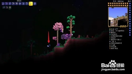 泰拉瑞亚怎么抓蓝精灵