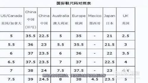 245是多大碼?