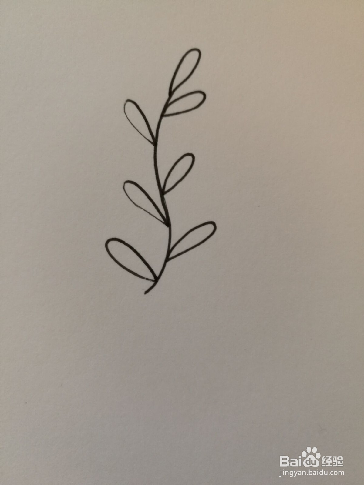 小草简笔画之画法八