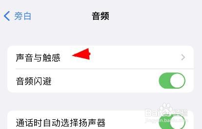 苹果13如何开启匹配语音音量