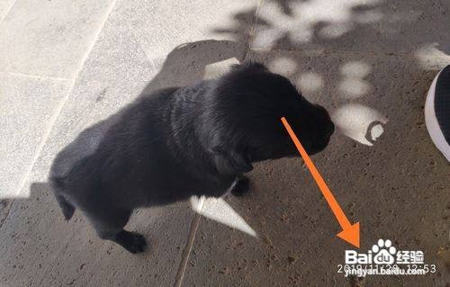 小米手机怎么设置相机时间水印