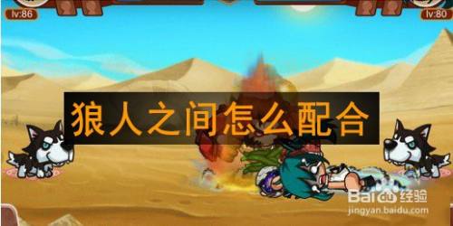 狼人之间怎么配合