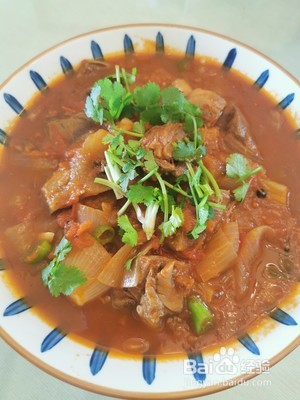 牛肉炖什么补气血最好