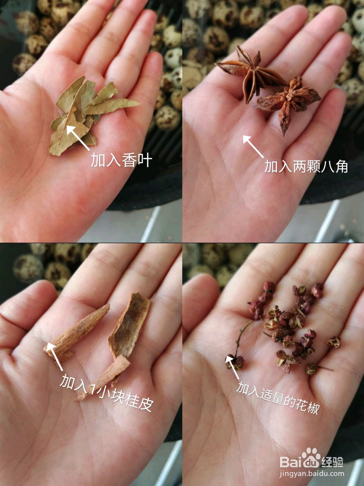 五香鹌鹑蛋的做法