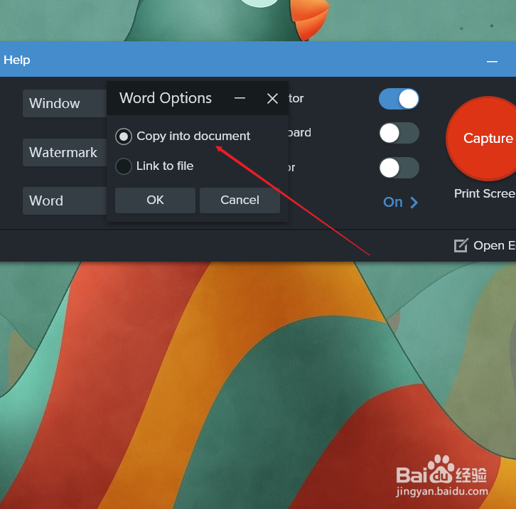 Snagit 2020 怎样将截图直接分享到office word?