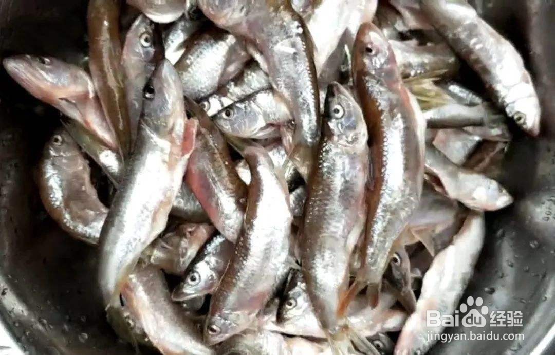 抗浪鱼的最佳吃法