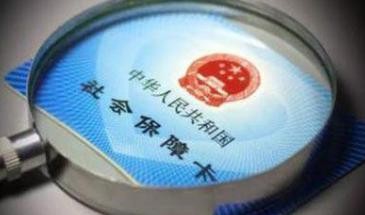 怎样快速查询自己的社保信息？