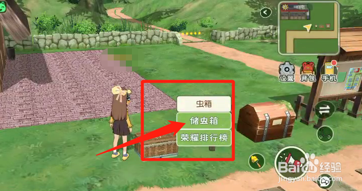 如何将虫子放入虫箱中管理
