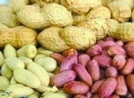 中医治痛风：[51]哪几类人不可以吃花生