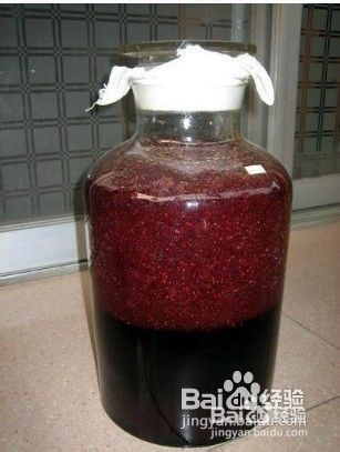 怎样用桑葚泡酒