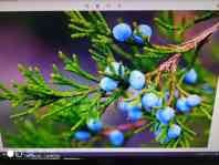 康佳144Hz显示器调色教程