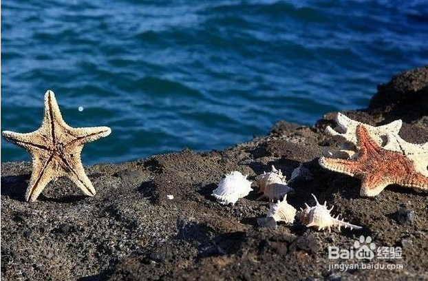 怎样使长途旅行更加轻松?