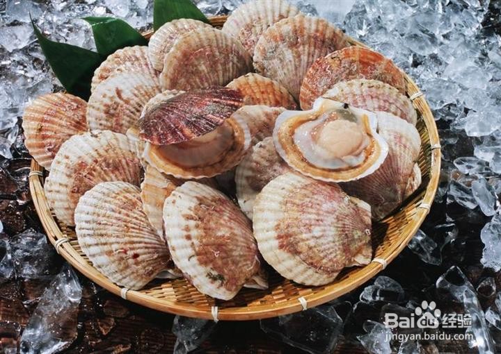 扇贝怎么保存?