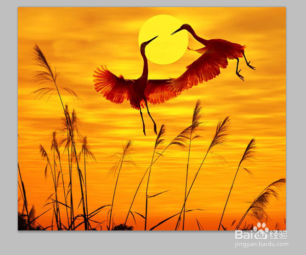 ps怎么把图片上的字去掉