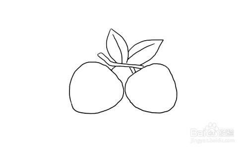 一步一步教你画荔枝简笔画?