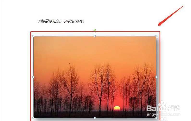 word图片嵌入式为何只能看到一部分