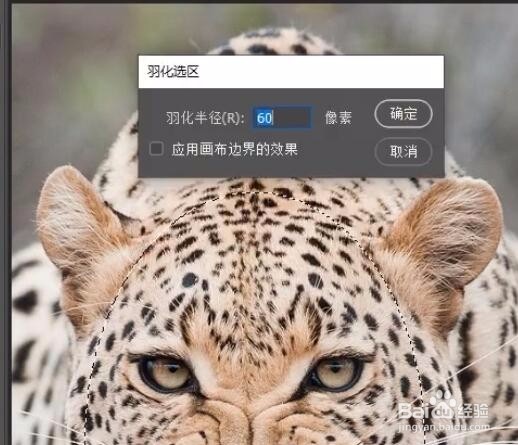 PS怎么给图片增加径向模糊