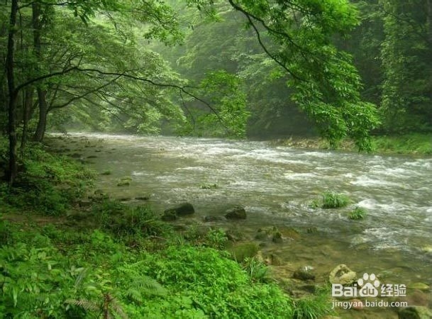 广州到张家界旅游攻略