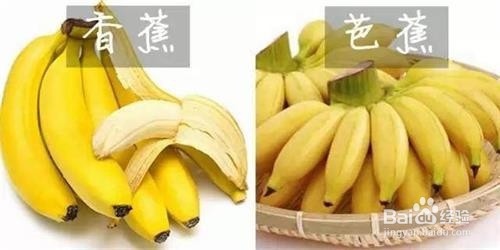 <b>香蕉与芭蕉有什么区别</b>