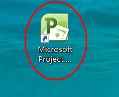 project中的BCWP如何显示