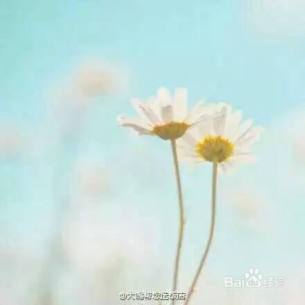 职场成熟的真理