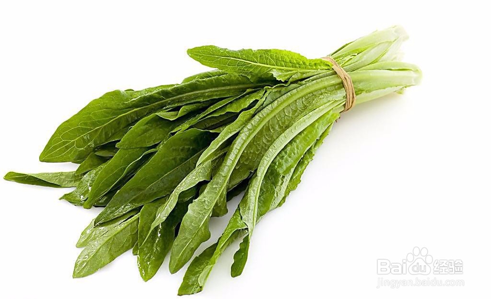 如何购买新鲜健康的蔬菜？