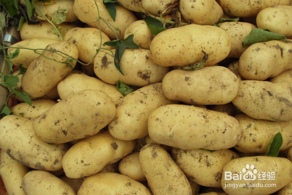 怎么辨别土豆是黄心还是白心？