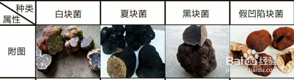 松露鉴别真假的方法