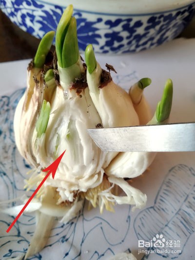 如何雕刻水仙花