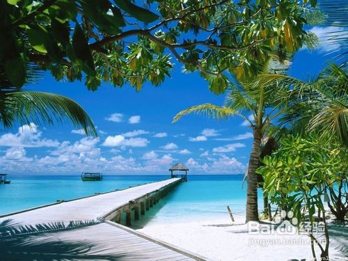 马尔代夫旅游小锦囊/旅游注意事项