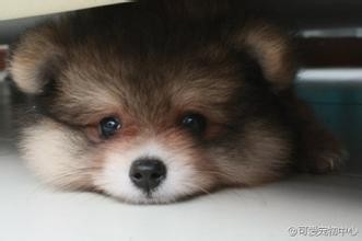 如何调节心里压力