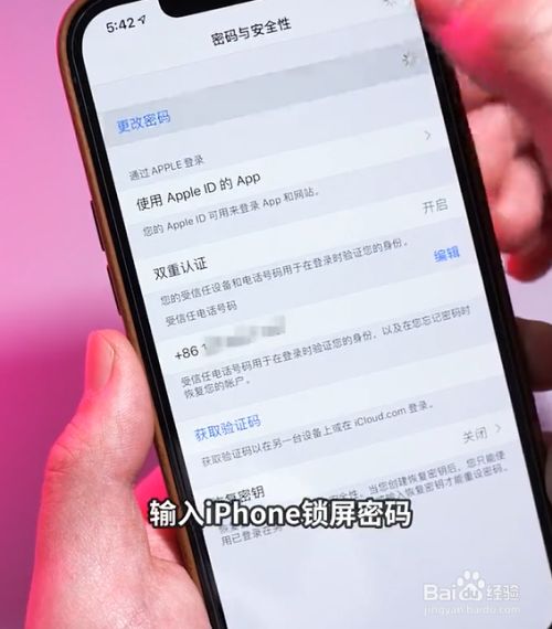 忘记苹果id账号怎么办