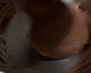 巧克力乳酪小餐包的做法