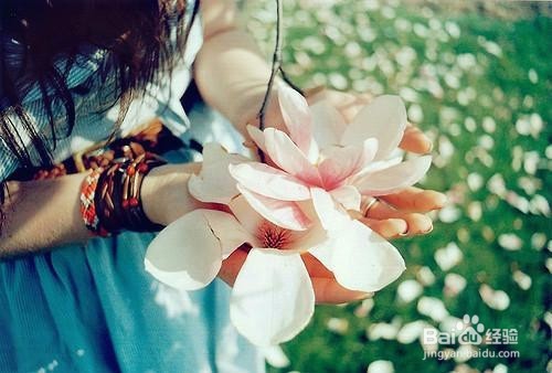 生活需要你去执行