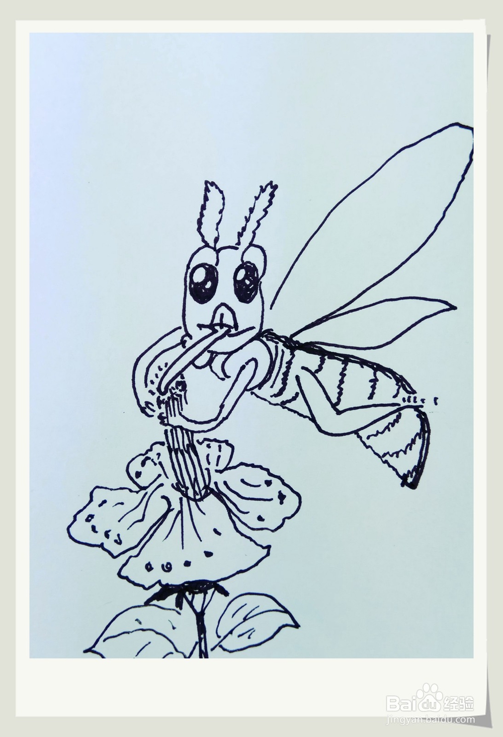 怎样画简笔画“小蜜蜂采蜜糖”？