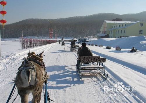 北方森林动物园旅游攻略