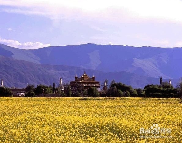 雅砻河旅游攻略