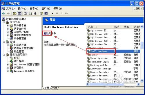怎么设置自动播放