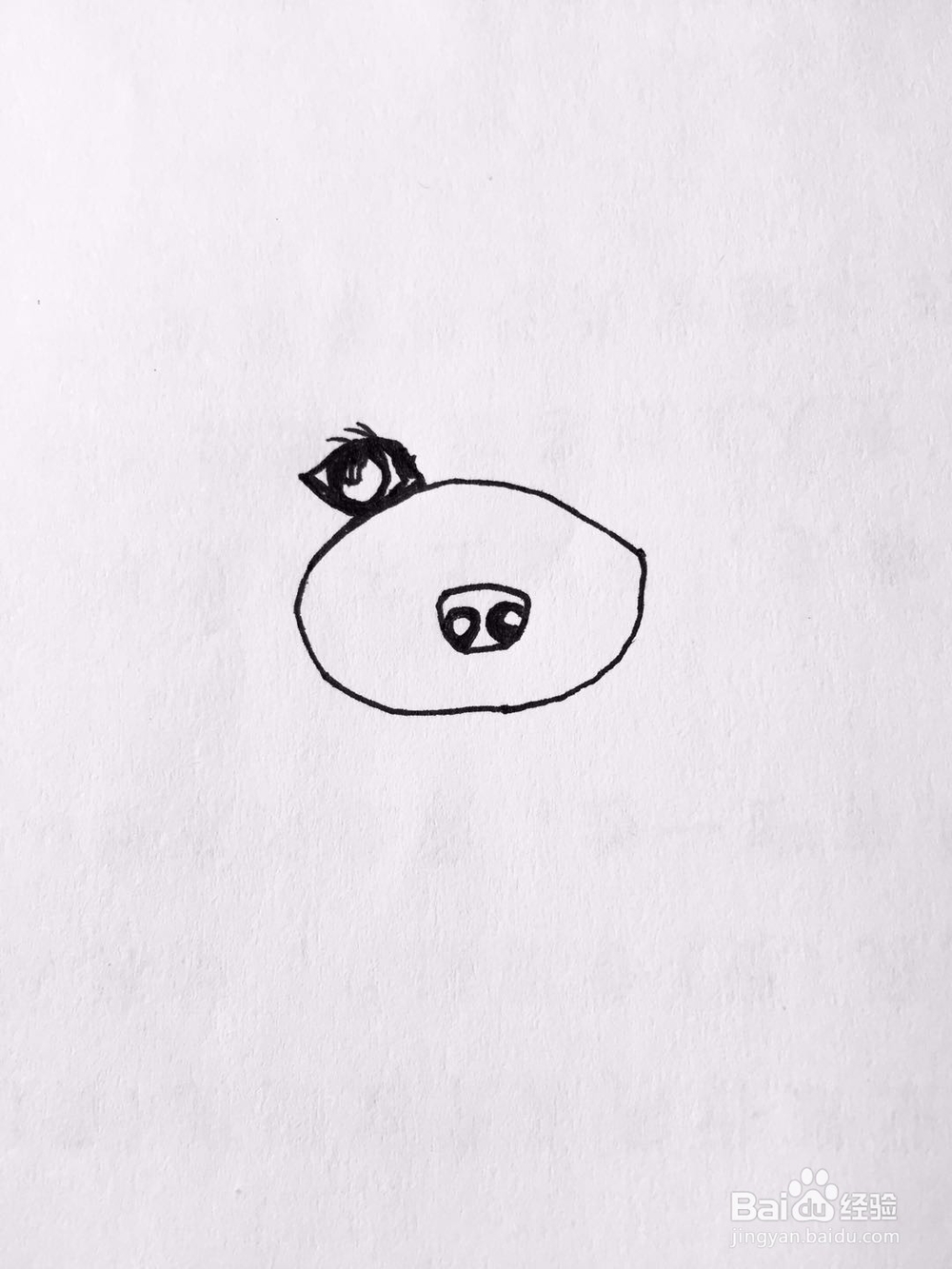 茉莉手绘之萌宠泰迪