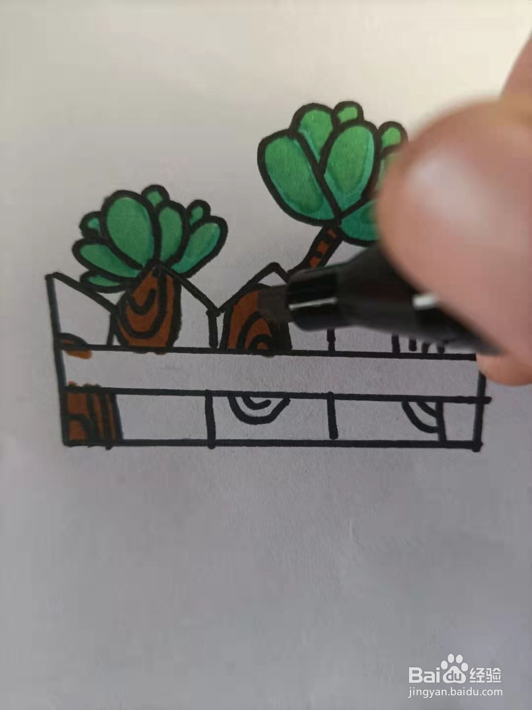 多肉的简笔画怎么画？