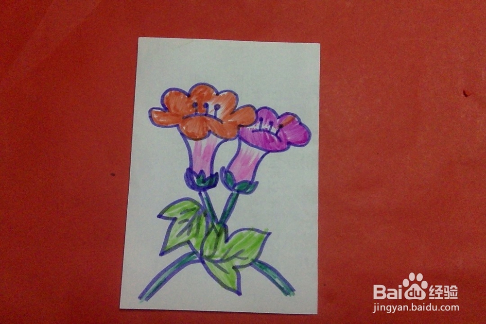 简笔画怎么画小花朵儿的画法儿童启蒙画 十七