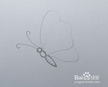 蝴蝶画法教程 1 怎么画 如何画蝴蝶 简笔画 百度经验